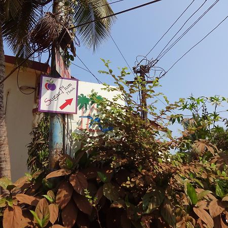 Sugar Plum Macedo Palms Bed & Breakfast Baga Luaran gambar