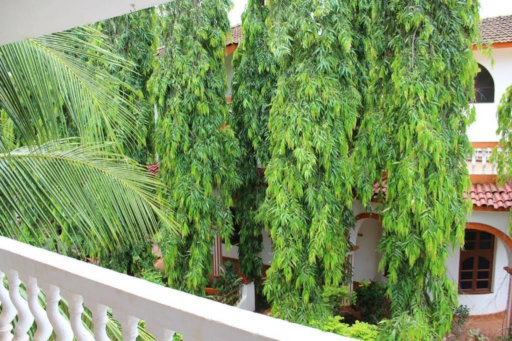 Sugar Plum Macedo Palms Bed & Breakfast Baga Luaran gambar